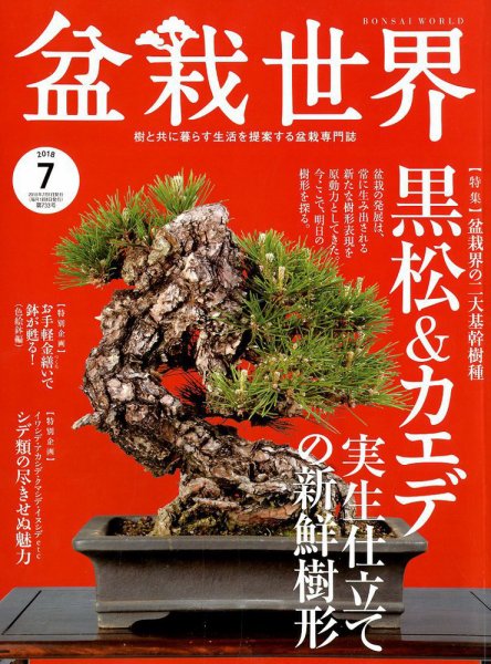 盆栽世界 2018年7月号 (発売日2018年06月04日) 表紙