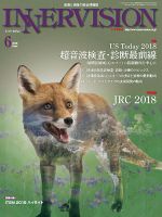 INNERVISION（インナービジョン） 2018年6月号 表紙