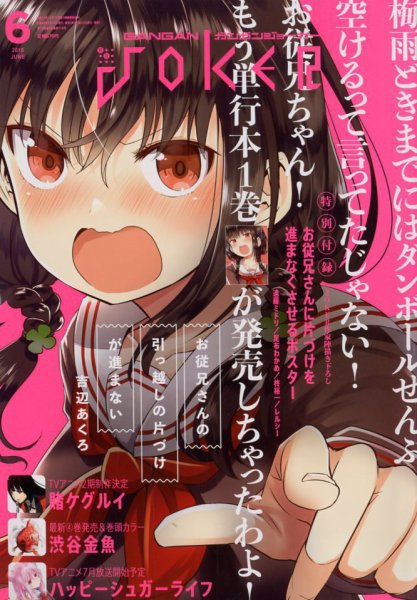 月刊 ガンガンJOKER (ジヨーカー) 2018年6月号 (発売日2018年05月22日) 表紙