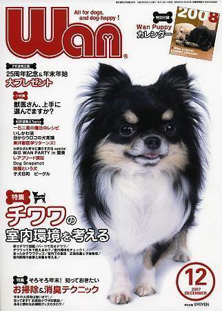 wan（わん） 2007年12月号 (発売日2007年11月14日) 表紙