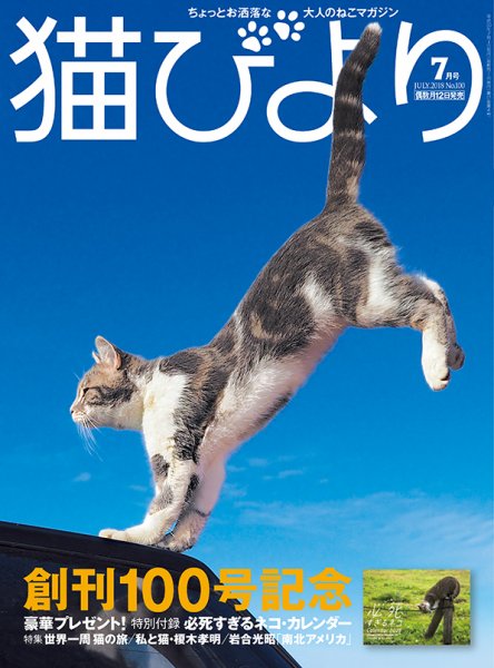 猫びより Vol.100 (発売日2018年06月12日) 表紙