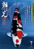 鱗光 月刊錦鯉 日鱗 52冊セット まとめ売り 錦鯉 2487024_n.jpg