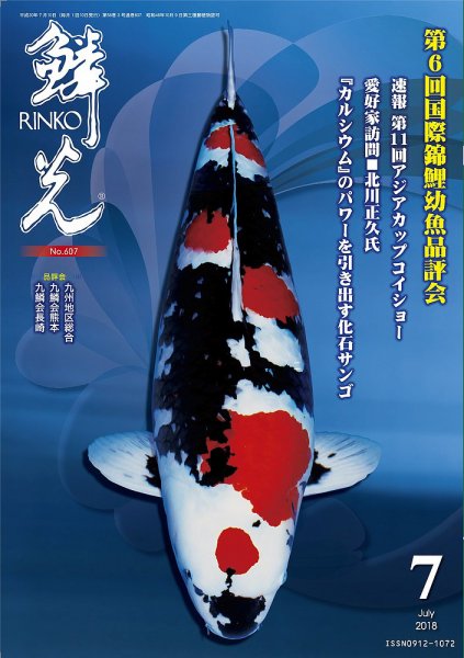 鱗光 2018年06月15日発売号 表紙