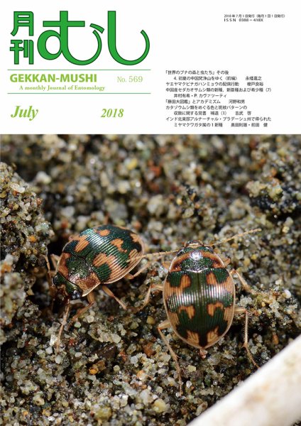 月刊むし 569 (発売日2018年06月23日) 表紙