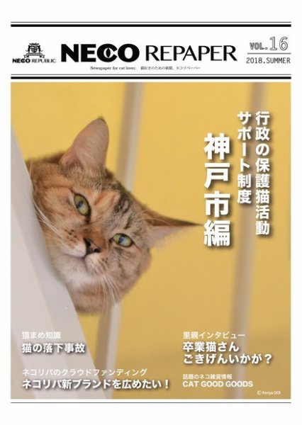 NECO REPAPER（ネコリペーパー） Vol.16 (発売日2018年06月30日) 表紙