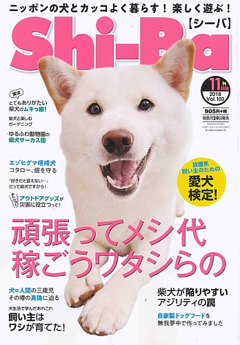 ☆希少！☆四季オリジナル☆柴犬☆ジロー　座り☆未使用 ☆希少！☆四季オリジナル☆柴犬☆ジロー 座り☆未使用