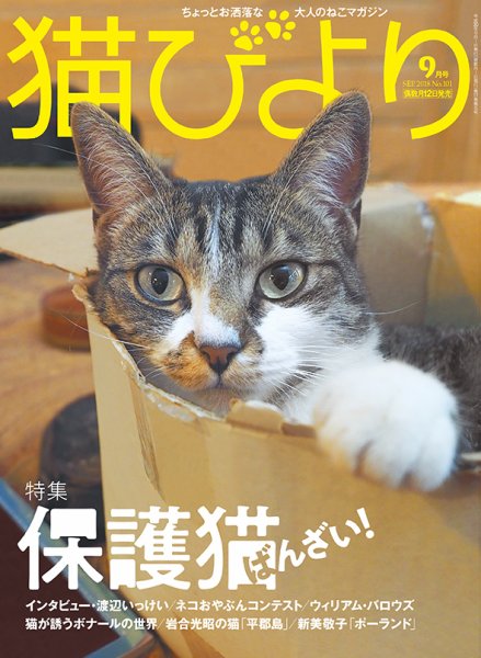 猫びより 101号  （18年08月10日発売） (発売日2018年08月10日) 表紙