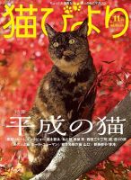 猫びより 2018年11月号 表紙