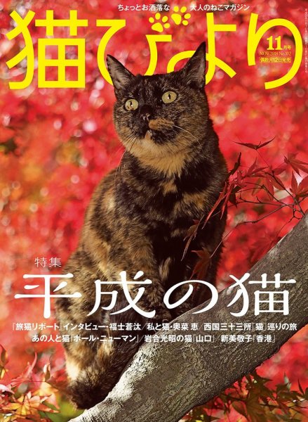 猫びより 2018年11月号 (発売日2018年10月12日) 表紙