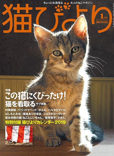 猫びより 19年1月号 18年12月12日発売 雑誌 定期購読の予約はfujisan