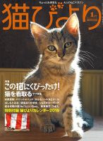 猫びより 2019年1月号 表紙