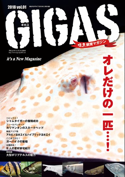 怪魚飼育マガジン GIGAS（ギガス） Vol.1 (発売日2017年12月29日) 表紙
