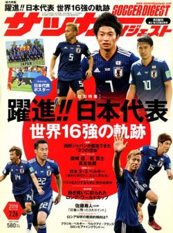 ロシアｗ杯ゴール裏に残念な日本人集団 彼らは日本を応援しているのか 汚しているのか マガジンサミット
