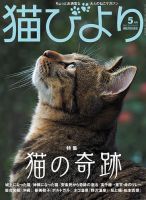 猫びより 2019年5月号 表紙