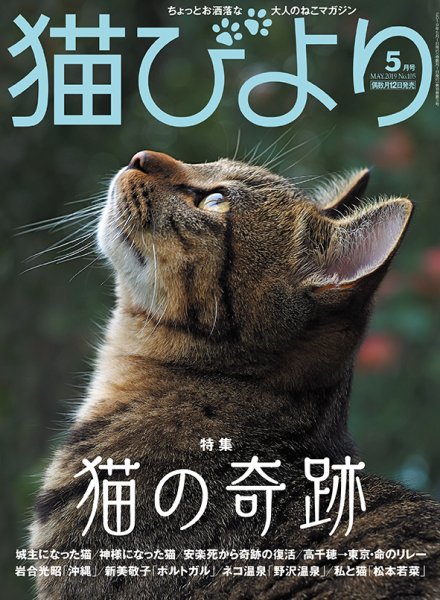 猫びより 2019年5月号 (発売日2019年04月12日) 表紙