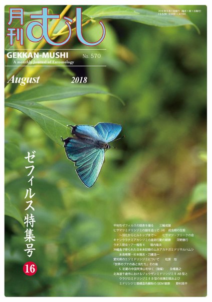 月刊むし 570 (発売日2018年07月23日) 表紙