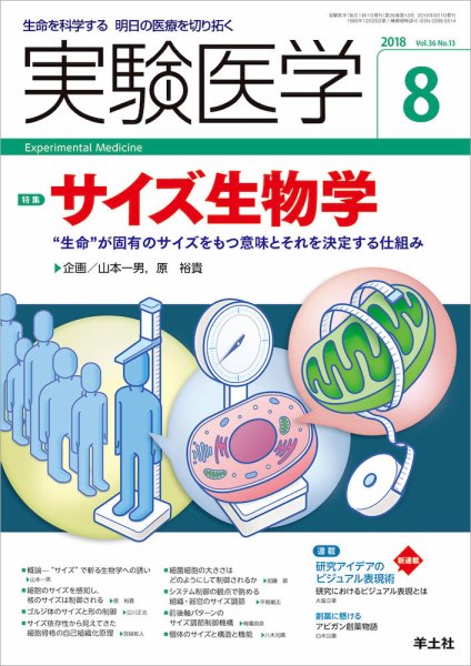 実験医学 Vol.36No.13 (発売日2018年07月20日) 表紙