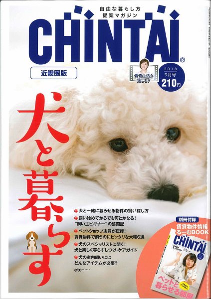 CHINTAI近畿圏版  2018年9月号 (発売日2018年07月24日) 表紙
