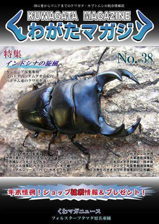 くわがたマガジン 38号 (発売日2007年11月30日) 表紙