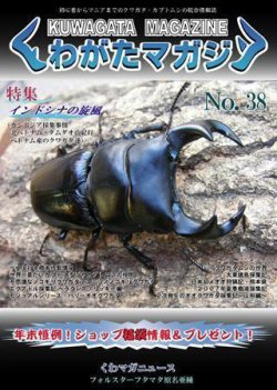 くわがたマガジン 38号 発売日07年11月30日 雑誌 定期購読の予約はfujisan