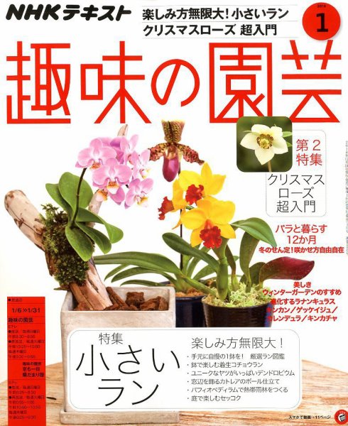 NHK 趣味の園芸 2019年1月号 (発売日2018年12月21日) 表紙