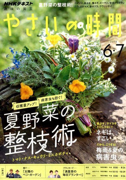 NHK 趣味の園芸 やさいの時間 2018年6月・7月号 (発売日2018年05月21日) 表紙