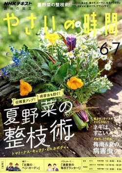 Nhk 趣味の園芸 やさいの時間 18年6月 7月号 発売日18年05月21日 雑誌 定期購読の予約はfujisan