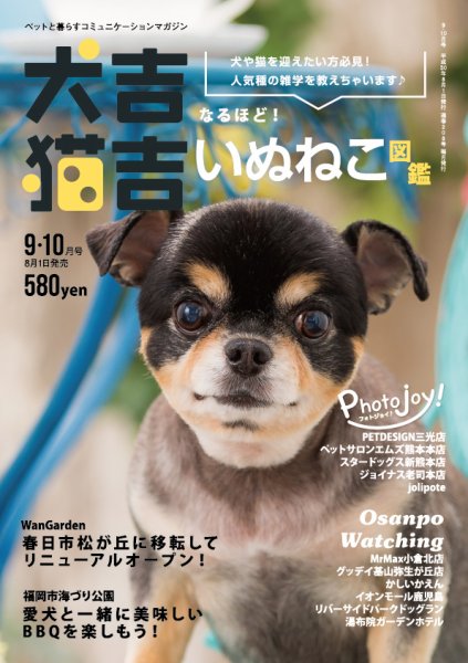 犬吉猫吉九州版　 208 (発売日2018年08月01日) 表紙