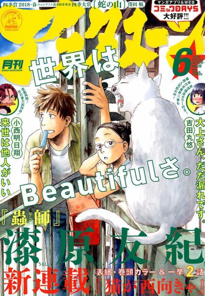 アフタヌーン 2018年6月号 (発売日2018年04月25日) 表紙