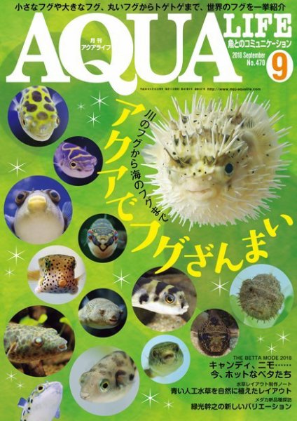 アクアライフ 9月号 (発売日2018年08月10日) 表紙