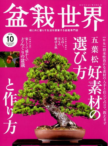 盆栽世界 2018年10月号 (発売日2018年09月04日) 表紙