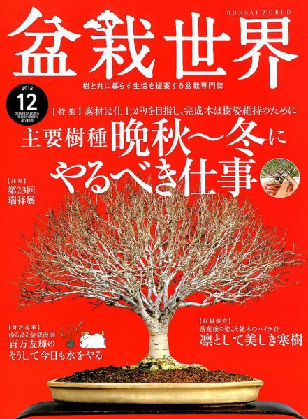 盆栽世界 2018年12月号 (発売日2018年11月02日) 表紙
