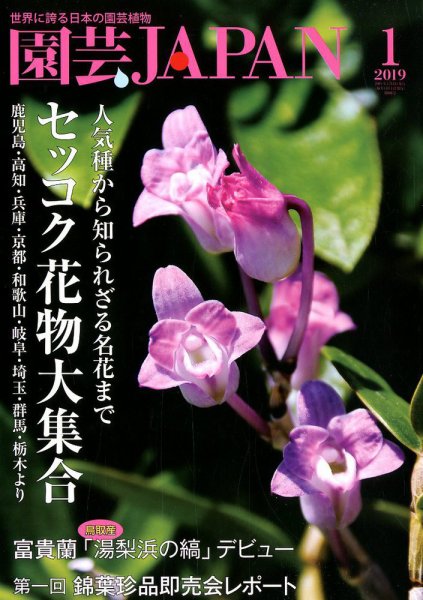 園芸Japan 2019年1月号 (発売日2018年12月12日) 表紙