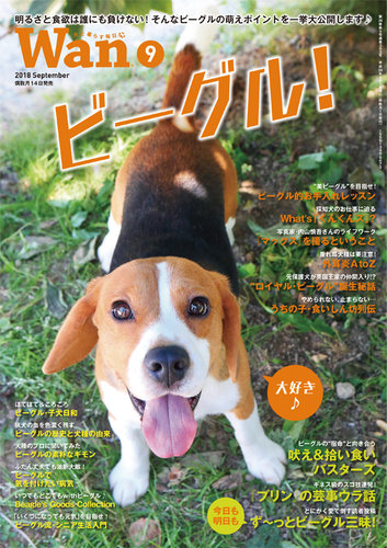 wan（わん） 2018年9月号 (発売日2018年08月16日) | 雑誌/電子書籍