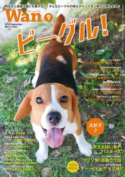 wan（わん） 2018年9月号 (発売日2018年08月16日) 表紙