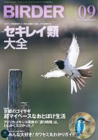 BIRDER（バーダー） 2018年9月号 表紙