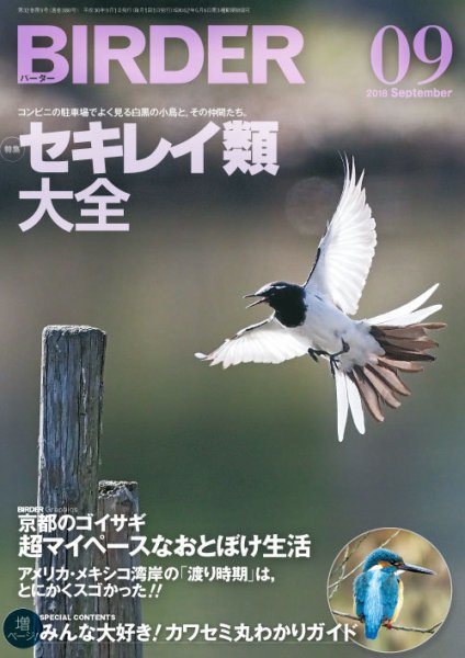 BIRDER（バーダー） 2018年9月号 (発売日2018年08月16日) 表紙