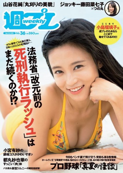 週刊プレイボーイ/週プレ 2018年9月3日号 (発売日2018年08月20日) 表紙
