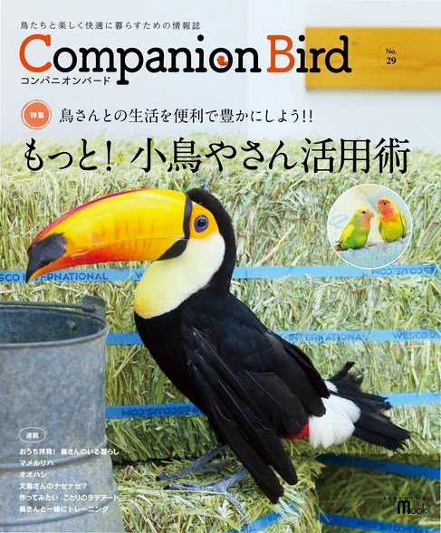 コンパニオンバード NO.29 (発売日2018年06月11日) 表紙