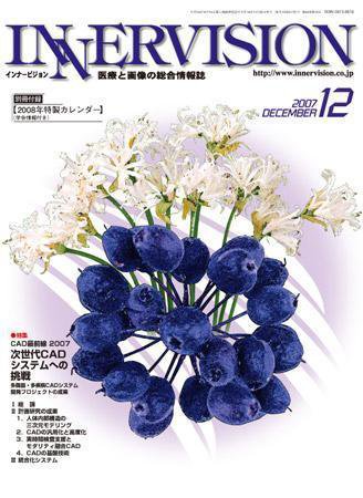 INNERVISION（インナービジョン） 2007年12月号 (発売日2007年12月01日) 表紙