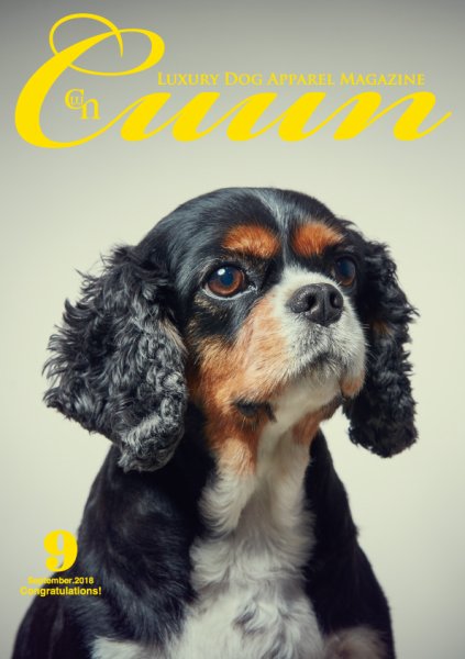 Cuun（クーン） 2018年9月号 (発売日2018年09月10日) 表紙