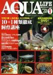 アクアライフ 1月号 (発売日2007年12月11日) 表紙