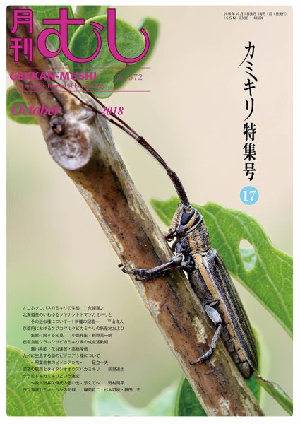 月刊むし 572 (発売日2018年09月22日) 表紙
