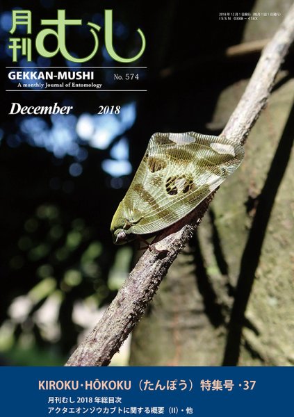 月刊むし 574 (発売日2018年11月22日) 表紙