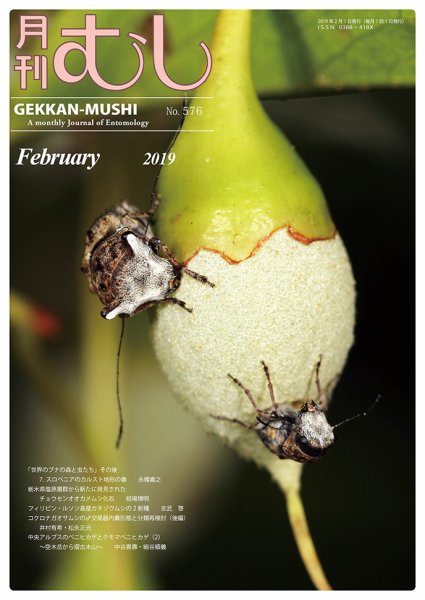 月刊むし 576 (発売日2019年01月24日) 表紙