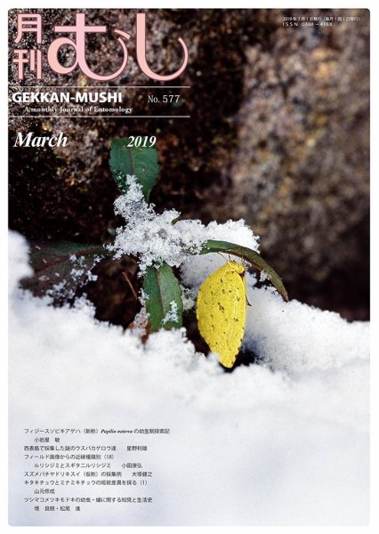 月刊むし 577 (発売日2019年02月22日) 表紙