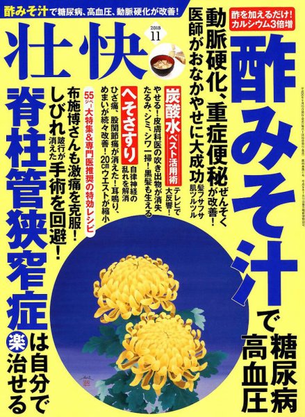 壮快 2018年11月号 (発売日2018年09月15日) 表紙