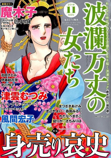 波乱万丈の女たち 2018年11月号 (発売日2018年09月15日) 表紙