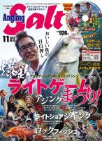 Angling Salt（アングリング・ソルト） 2018年11月号 (発売日2018年09月21日) 表紙