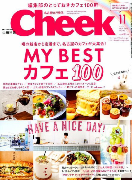 CHEEK（チーク） 2018年11月号 (発売日2018年09月22日) 表紙